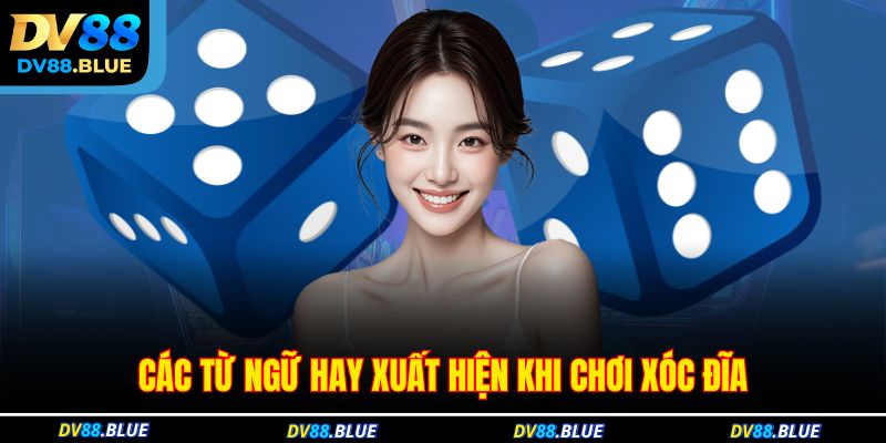 Các từ ngữ hay xuất hiện khi chơi xóc đĩa Các từ ngữ hay xuất hiện khi chơi xóc đĩa